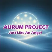 Aurum Project — Flash In The Night