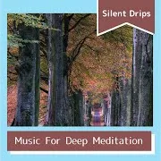 Silent Drips — The Smell Of Freedom