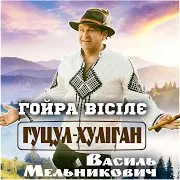 Гойра Вісілє