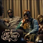 Ak — Elle Veut (Feat. Didi B)