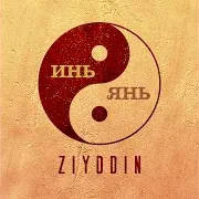 Инь И Янь