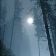 Полна Луна