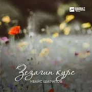 Увайс Шарипов — Фариза