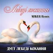 Дует Лебеді Кохання — Лебеді Кохання (Maver Remix)