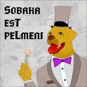 Sobaka Est Pelmeni — Гардеробня Киборга